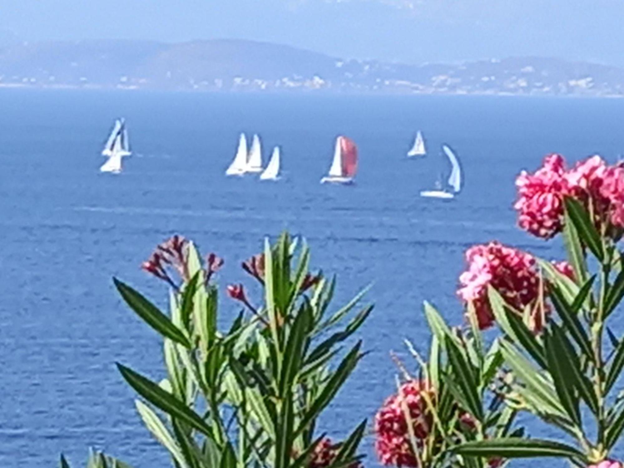 Mavi Panorama Villa Çeşme Eksteriør bilde