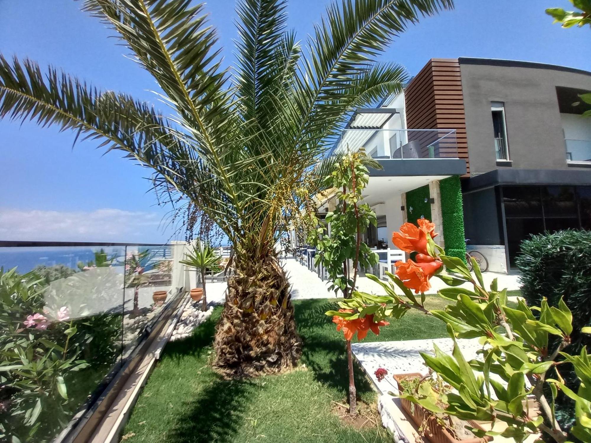 Mavi Panorama Villa Çeşme Eksteriør bilde